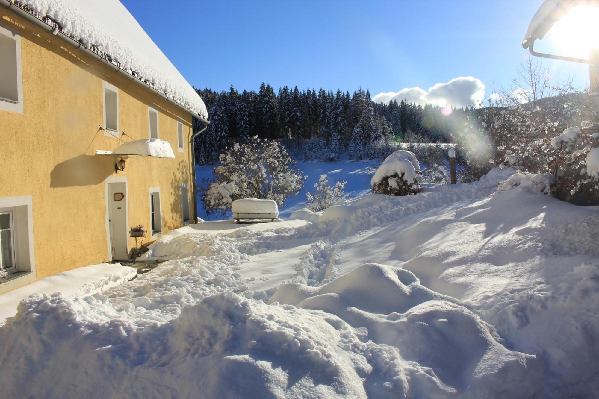 Urlaub Am Bio-Bauernhof Liebchen Villa Zeutschach Exterior photo