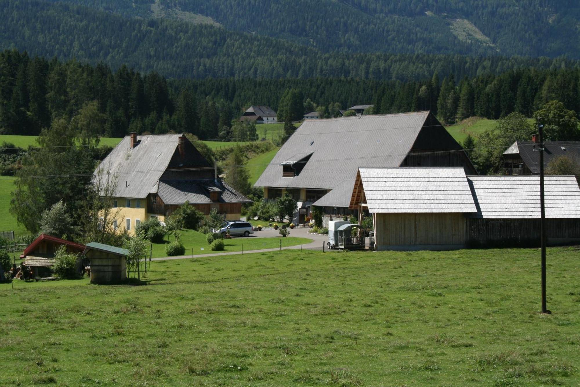 Urlaub Am Bio-Bauernhof Liebchen Villa Zeutschach Exterior photo