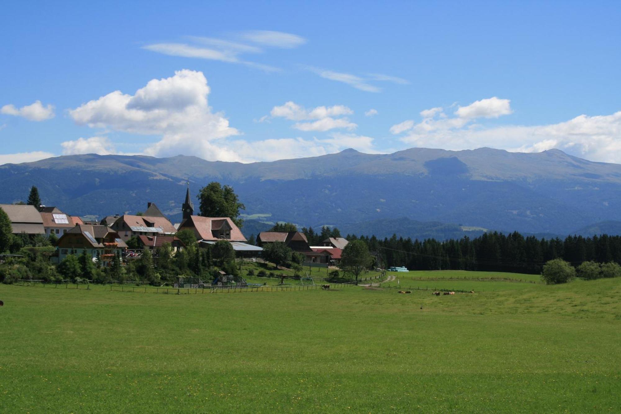 Urlaub Am Bio-Bauernhof Liebchen Villa Zeutschach Exterior photo