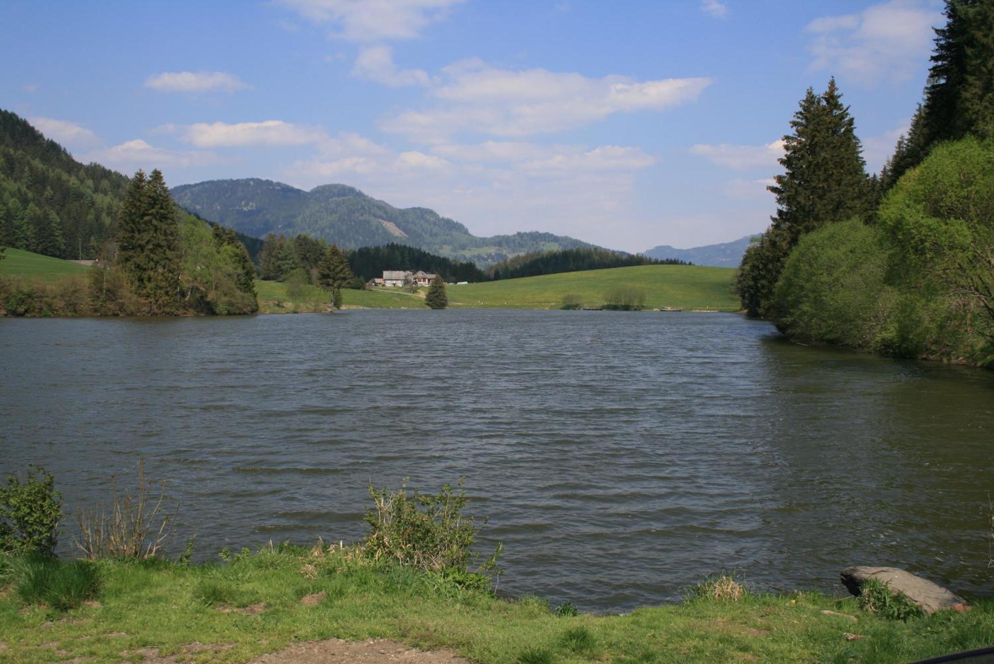 Urlaub Am Bio-Bauernhof Liebchen Villa Zeutschach Exterior photo