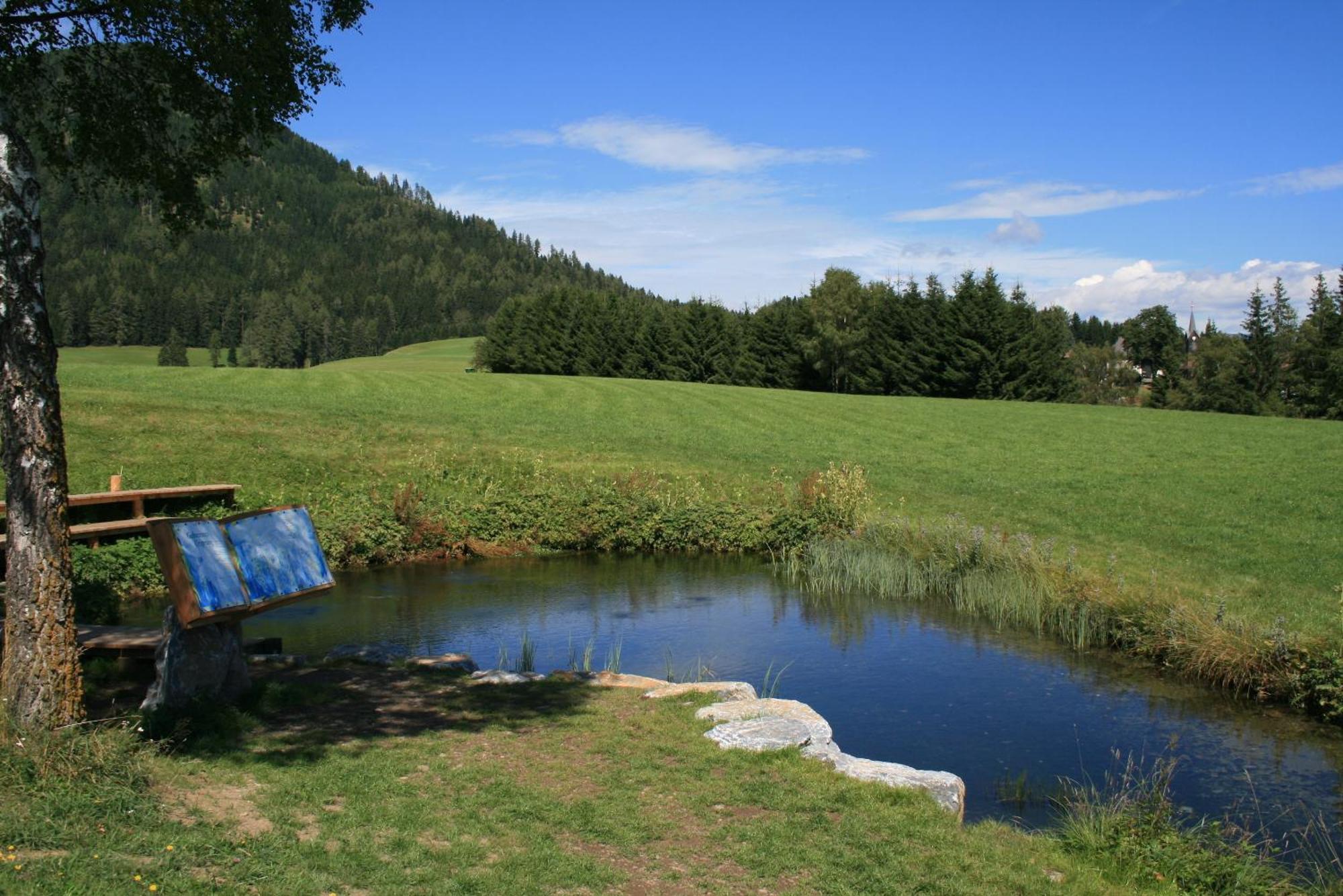 Urlaub Am Bio-Bauernhof Liebchen Villa Zeutschach Exterior photo